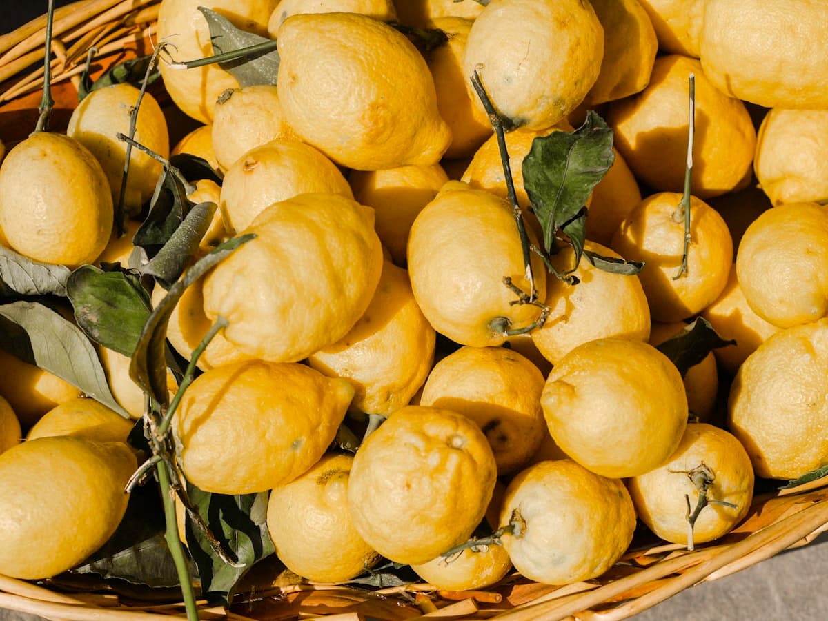 Backyard lemons piled in a woven basket with leaves still attached